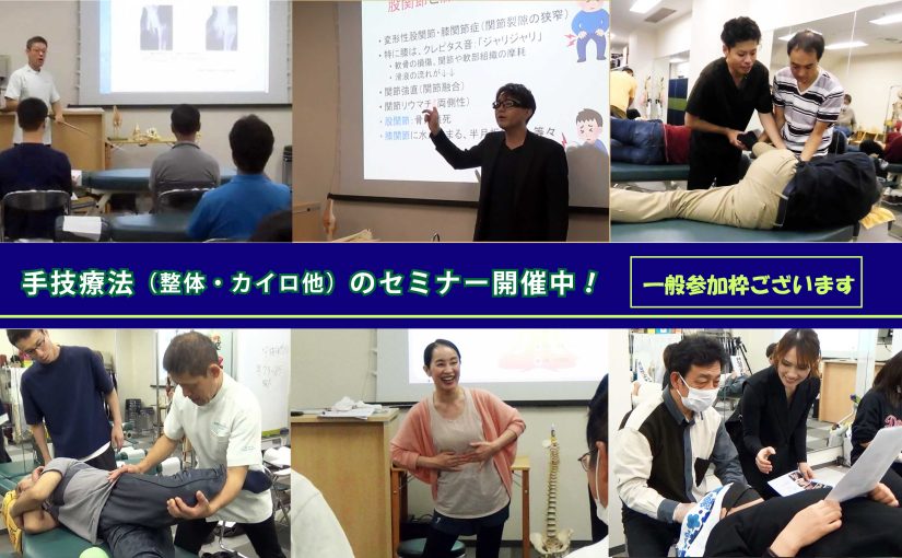 BIO-KINETICS セミナー資料日本語！カイロプラクティック神経学/整体 41J9SDZFXWL.jpg